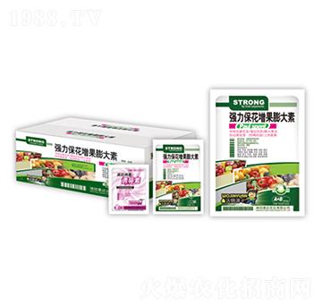 ��(qi��ng)���������������-̩