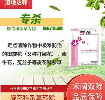 ������ˎ�Ķ��c(di��n)ʽ���̎�턩-����-���n