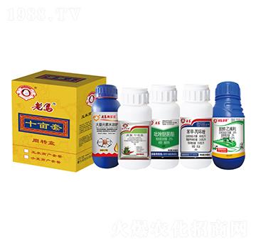 ����һ����Ч�ײͣ�ʮ���ף�-�����r(n��ng)�I(y��)