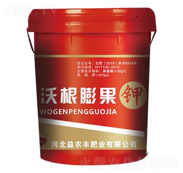 �ָ�����-���r(n��ng)�S�ʘI(y��)