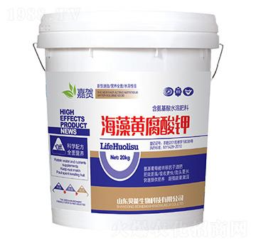 �����S�����-ؐ������