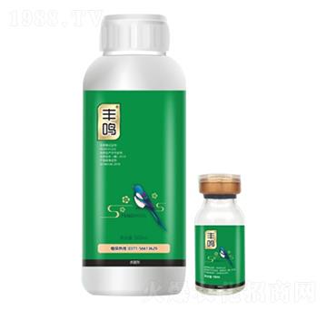 80%������ �S�Q ���ƻ���