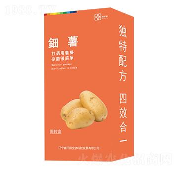 ��������b�� ������