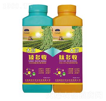 �����a(ch��n)�ײ�-�����S-���Π�