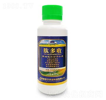 �Ķ���-�����S-���Π�