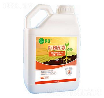 5%���S���� Ϩ�� ��������