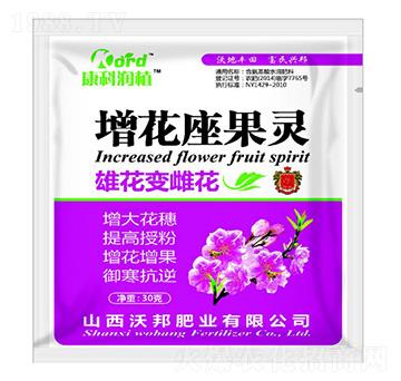 ���������` �ְ�ʘI(y��)