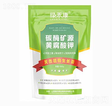 ̼ø�VԴ�S�����-�x��������