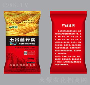 ���נI(y��ng)�B(y��ng)��-�Љ�