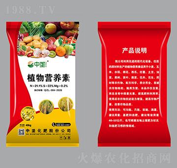 ֲ��I�B(y��ng)��-�Љ�