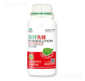 ݱ�~�I�B(y��ng)������-��ѿ���h-ʥ��ʘI(y��)