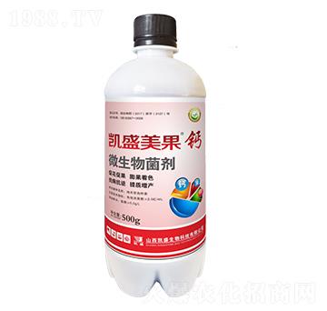 �������}-�Pʢ�ʘI(y��)