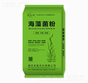 �������-��껷ʘI(y��)