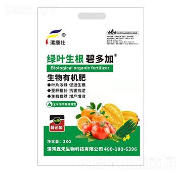 �����ЙC�ʣ��G�~������-�̶��-�𿵉�