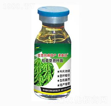 ��������a���ã��ݲ�ѿ�ߗU����-�𿵉�