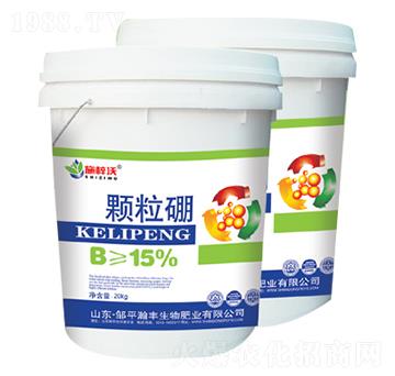 �w����-��S����