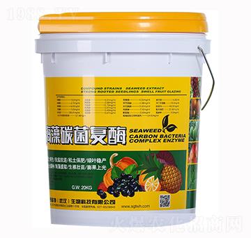 ����̼����(f��)ø-ِ����