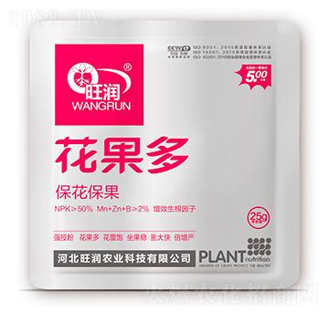 ��������-������-����