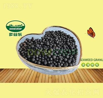 �����ЙC���w��-��Ș�