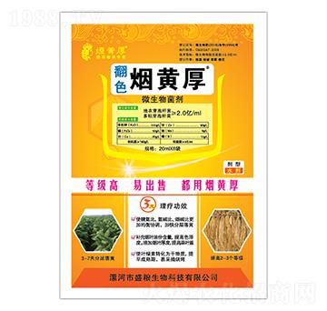 ΢�������-��ɫ���S��-ʢ�Z����