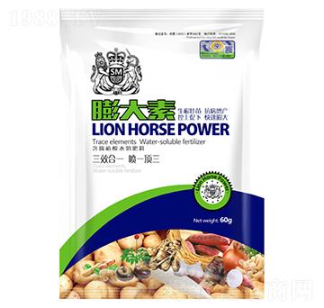 �����-�{�R�ʘI(y��)