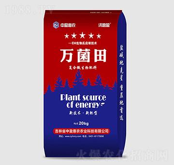 ��(f��)��΢�������-�f(w��n)����-��ӯ���r(n��ng)