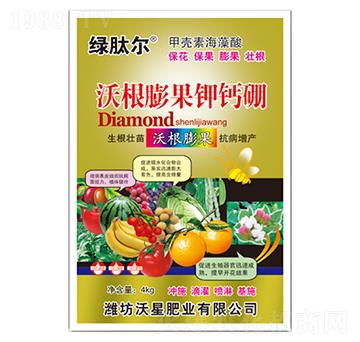 �ָ������}��-���ǷʘI(y��)