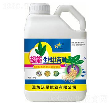 �������焩-���ǷʘI(y��)