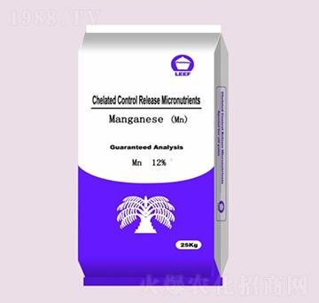 �����i��-�Ŷ�-�����Ƽ�