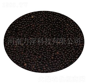 �����-�����Ƽ�