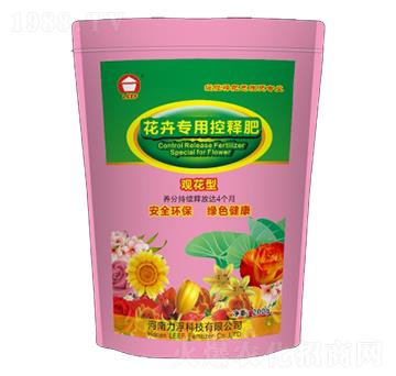 �^���ͻ��܌��ÿ�ጷ�-�Ŷ�-�����Ƽ�