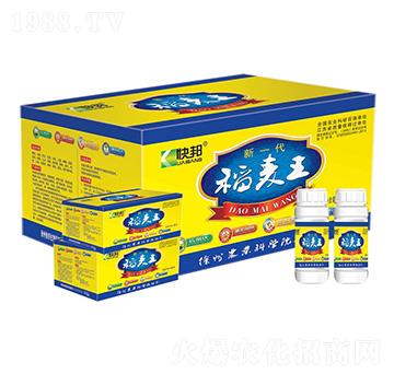 ��һ��������-�������