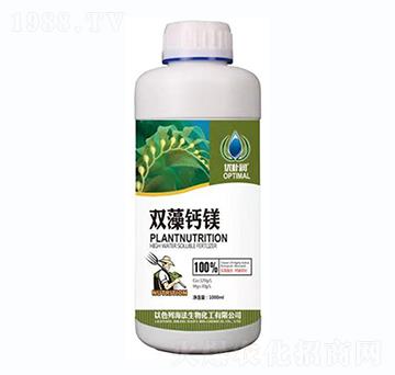 �p���}�V-һ������