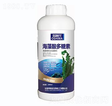 �����������-һ������