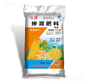 ��ጓ������-�G�@����