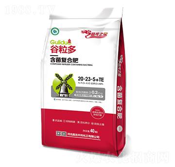 �����ͺϷ�20-23-5+TE-������-����