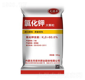 �Ȼ�⛣����w����-�챣�S-����R��