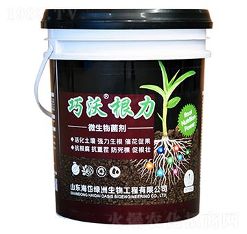 ΢�������-���ָ���-��᷾G��