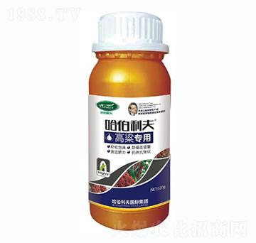 ������(zhu��n)��-��������