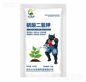 ��������-����S����