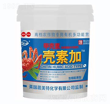 �ך��ؚ��ؼ�-������