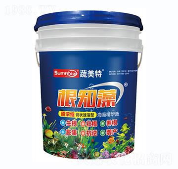 ����s���������-��֪��-������