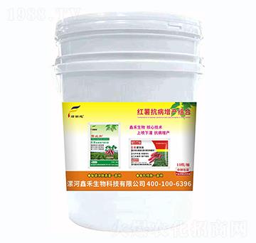 �t���������a(ch��n)�M��-�G���-�κ�����