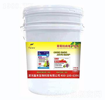 ���ѿ������a(ch��n)�M��-�G���-�κ�����