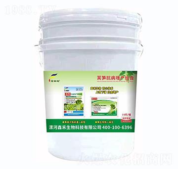 �n�S�������a(ch��n)�M��-�G���-�κ�����