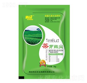 ��ѿ�ۼ�-���S���r-���S����