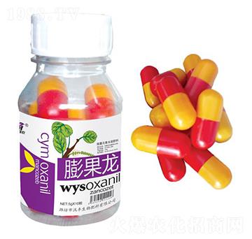 �����-���S���r(n��ng)-���S����