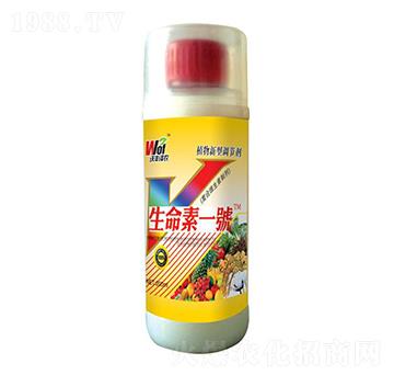 ������һ̖-���S���r-���S����