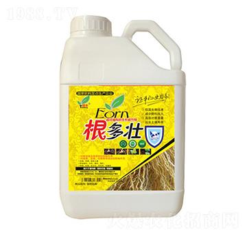 5kg������-���S����