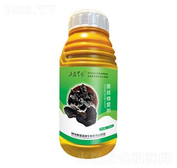 ���z�ޏ̈́�-���_